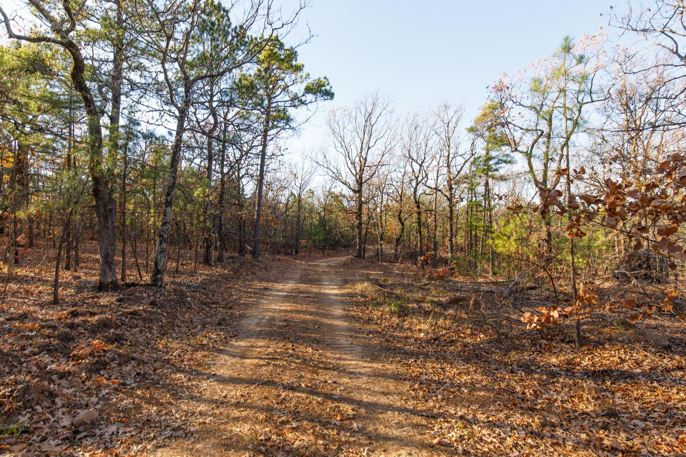 Stone Bridge Phase II Tract 86 photo 1