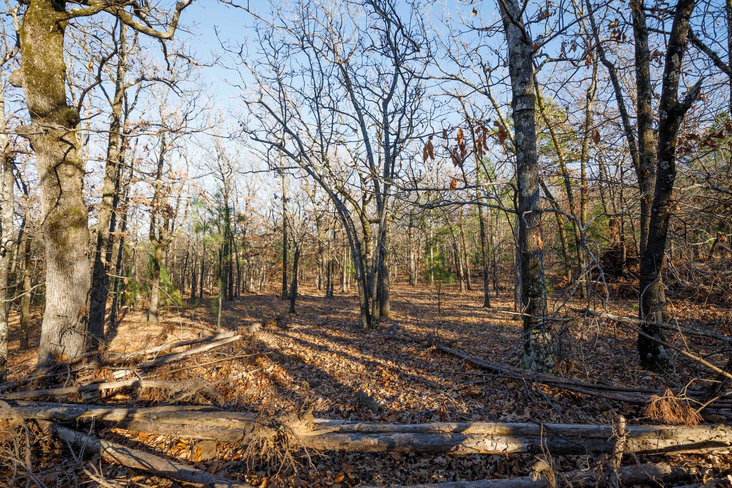 Stone Bridge Phase II Tract 86 photo 2