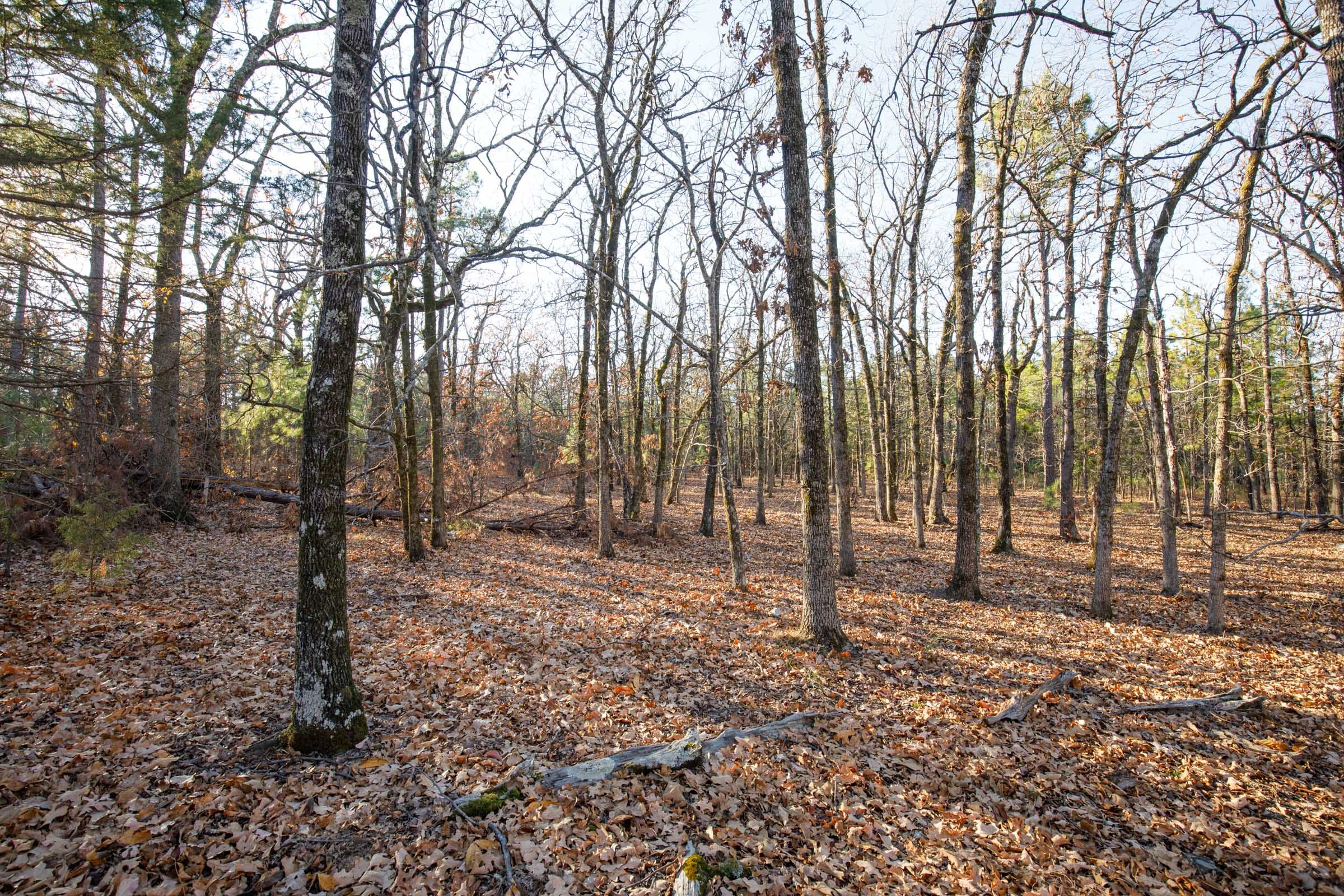 Stone Bridge Phase II Tract 86 photo 3