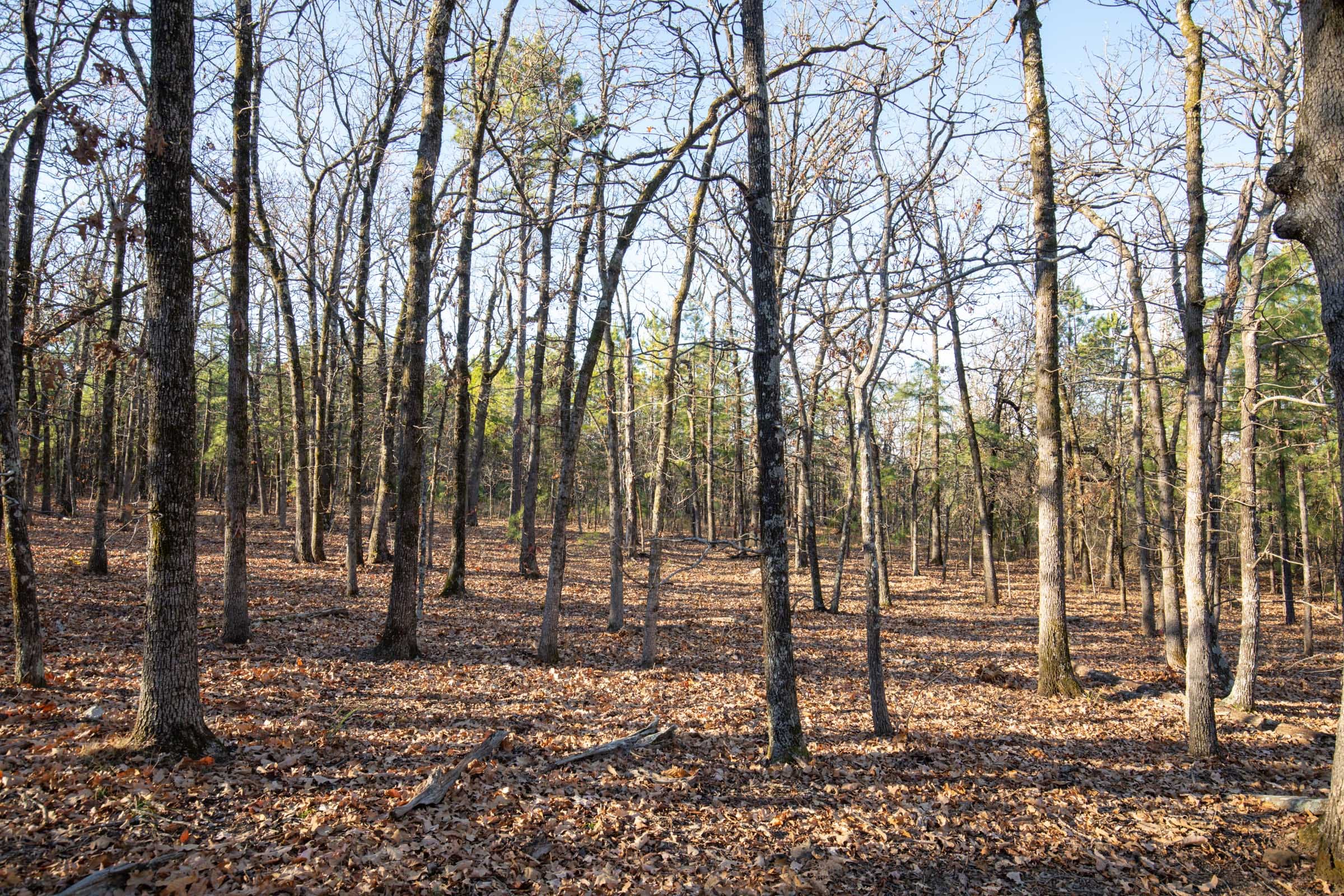 Stone Bridge Phase II Tract 86 photo 4