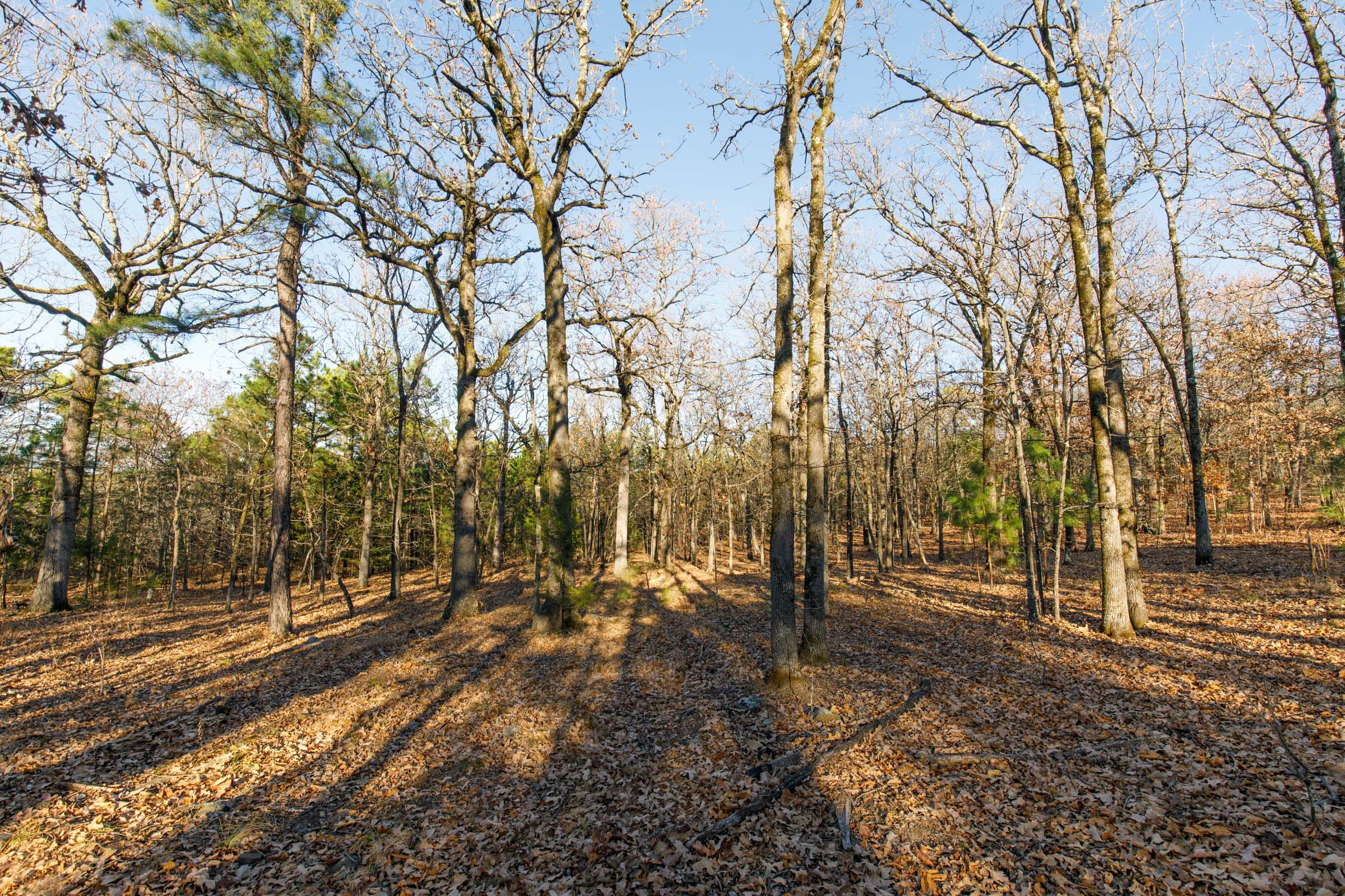 Stone Bridge Phase II Tract 86 photo 6