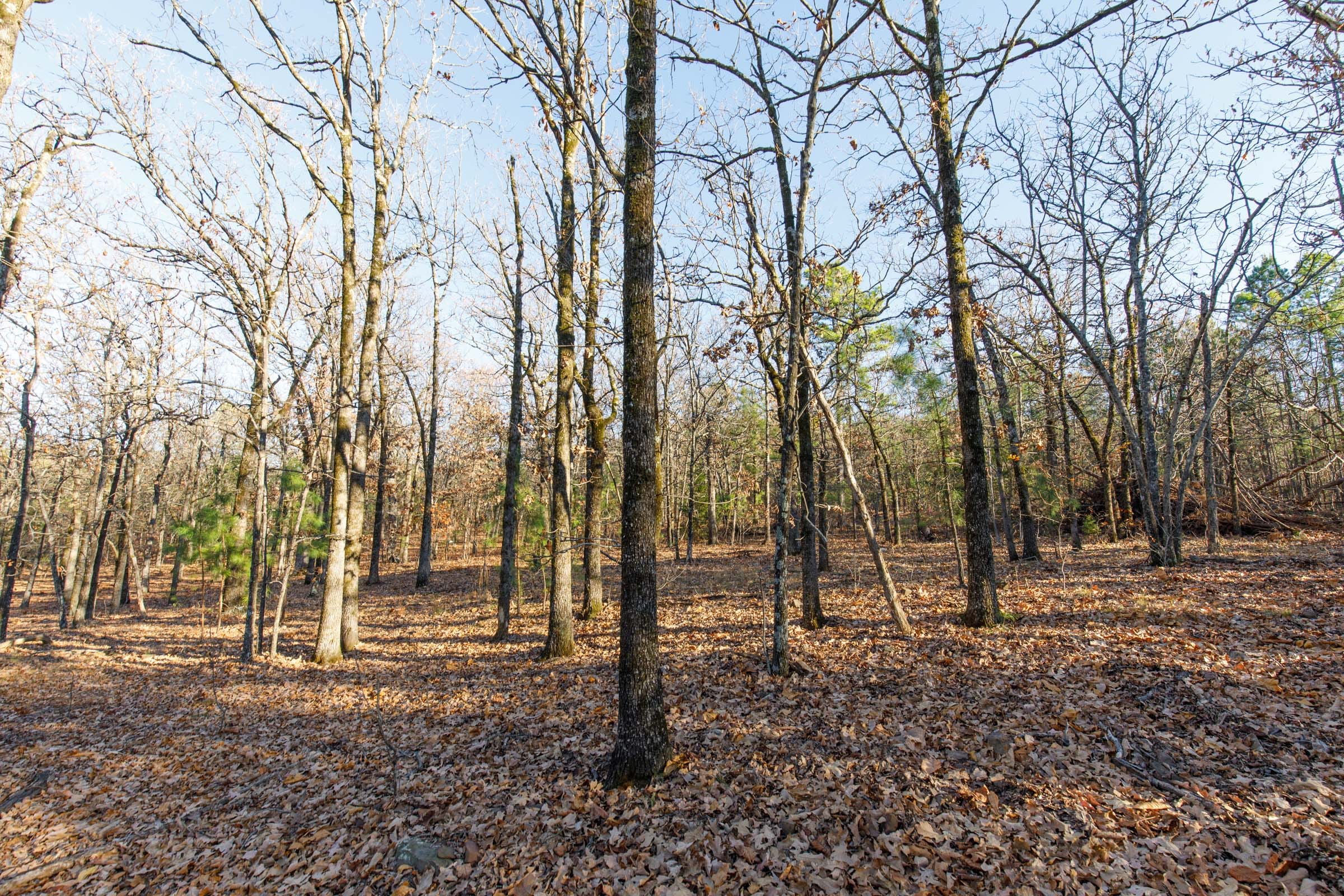 Stone Bridge Phase II Tract 86 photo 8