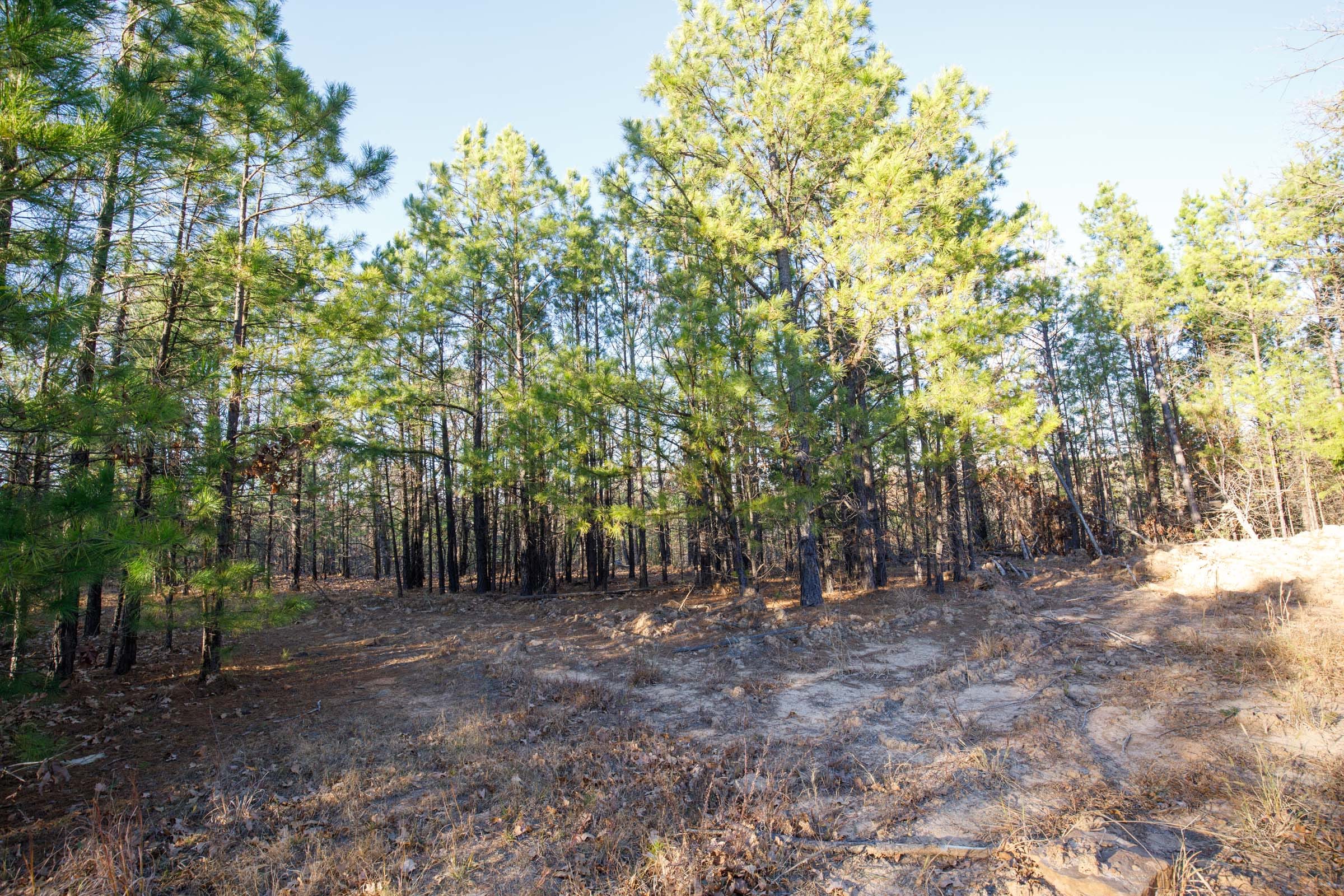 Stone Bridge Phase II Tract 86 photo 10
