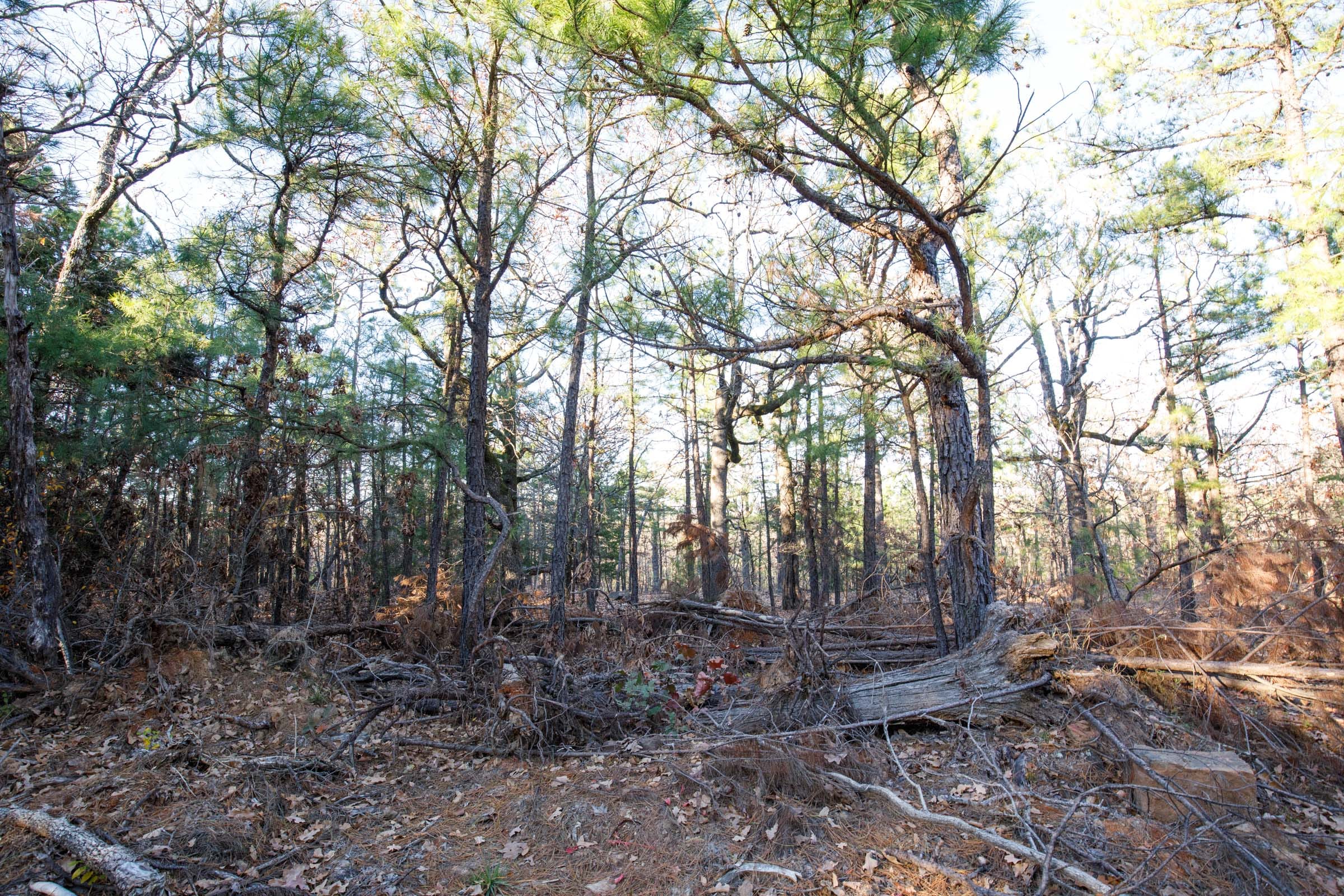 Stone Bridge Phase II Tract 86 photo 11