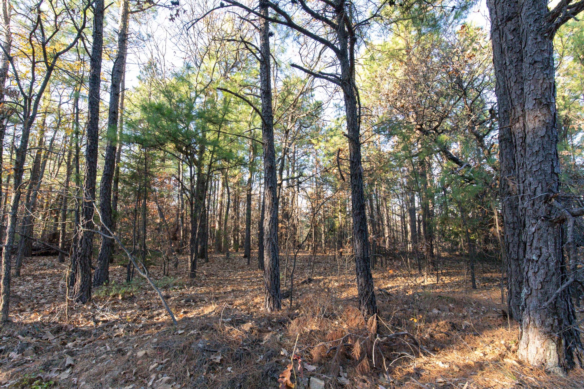 Stone Bridge Phase II Tract 86 photo 13
