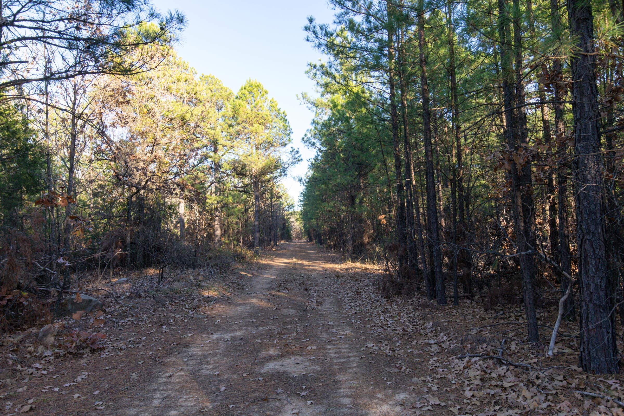 Stone Bridge Phase II Tract 86 photo 12