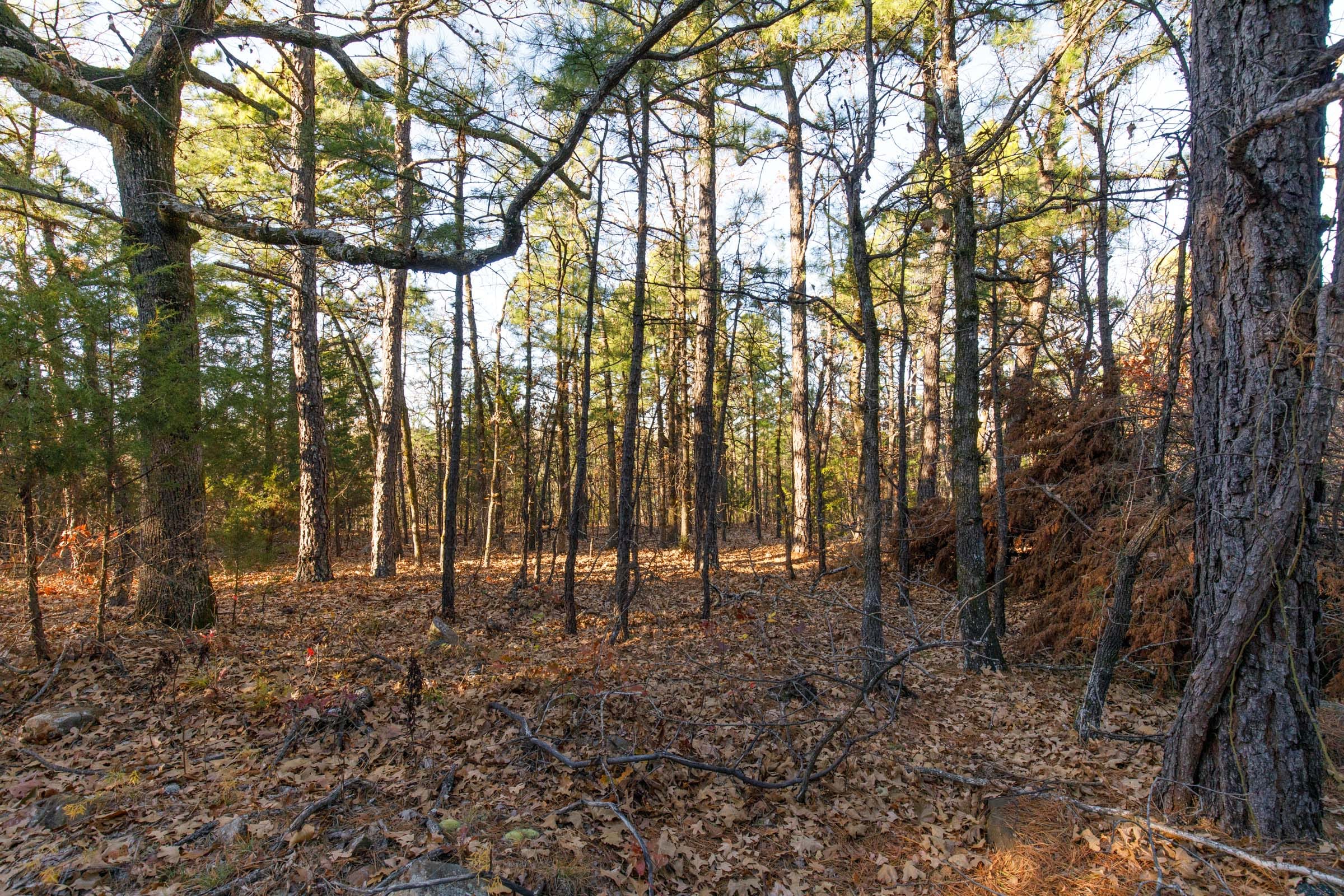 Stone Bridge Phase II Tract 86 photo 14