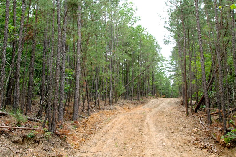 Trophy Ridge Phase II Tract 99 photo 1