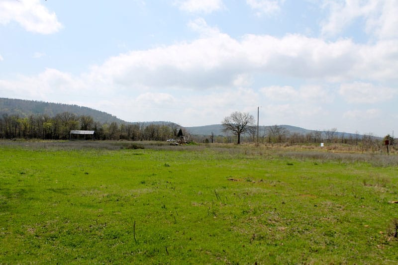 Daisy Meadows Tract 13 photo 5