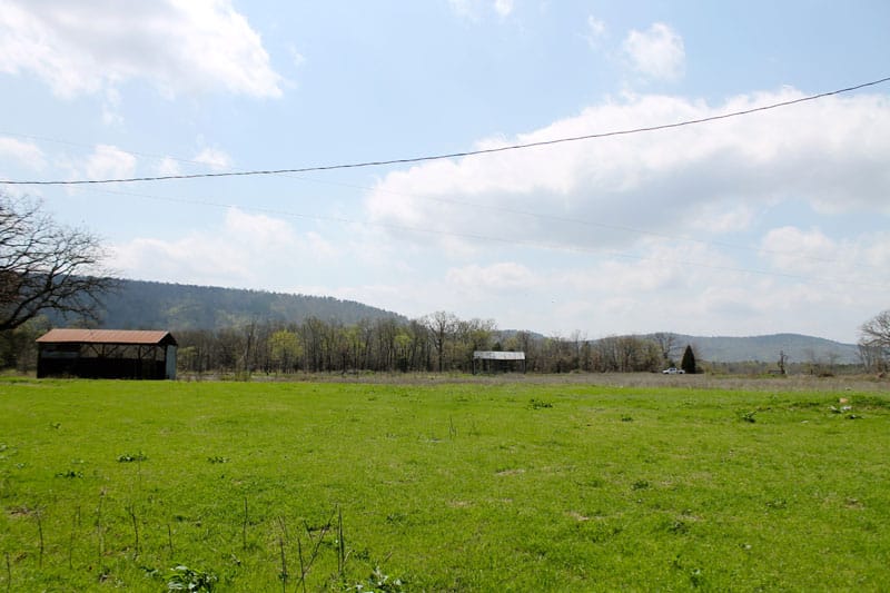 Daisy Meadows Tract 13 photo 7