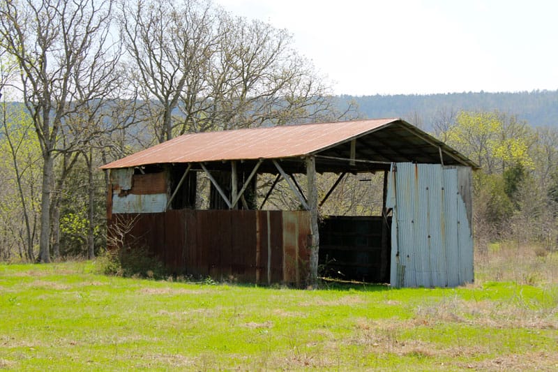 Daisy Meadows Tract 13 photo 9