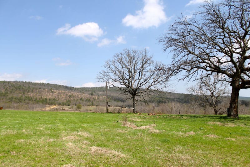 Daisy Meadows Tract 13 photo 10