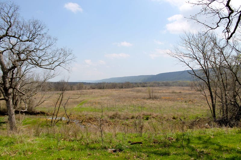 Daisy Meadows Tract 13 photo 11