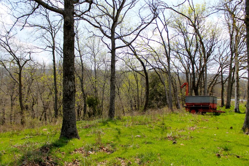 Daisy Meadows Tract 13 photo 12