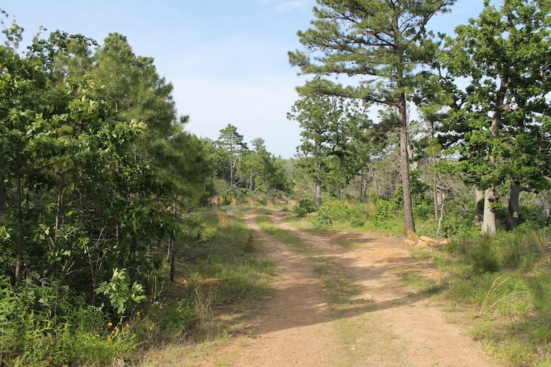 Indian Ridge – Phase II Tract 38 photo 1