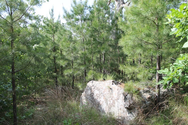 Indian Ridge – Phase II Tract 38 photo 3