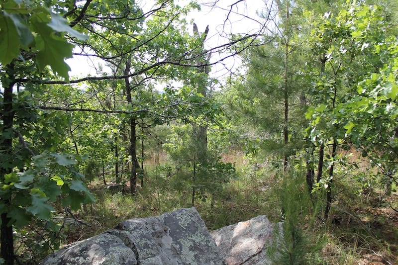 Indian Ridge – Phase II Tract 38 photo 5