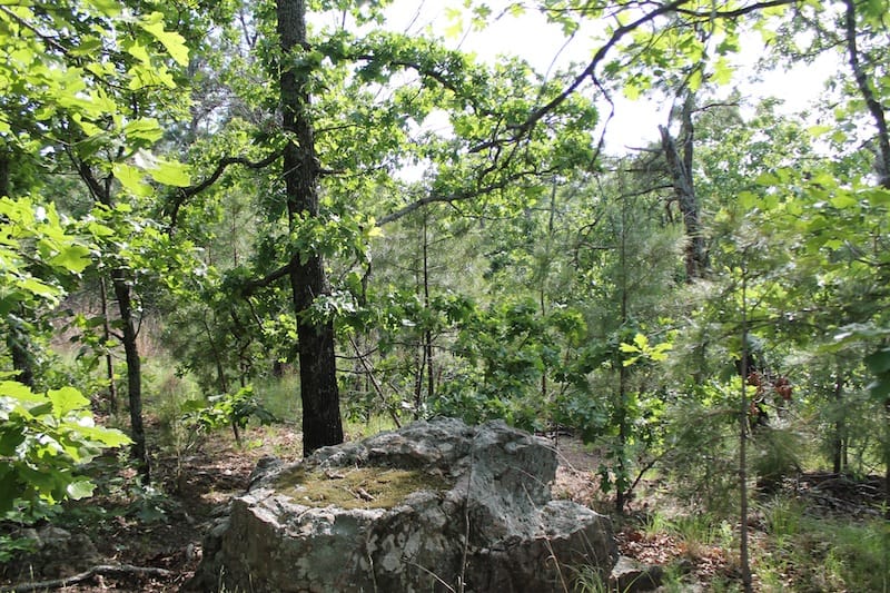 Indian Ridge – Phase II Tract 38 photo 6