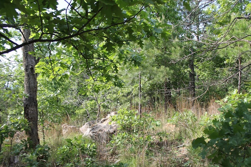 Indian Ridge – Phase II Tract 38 photo 7