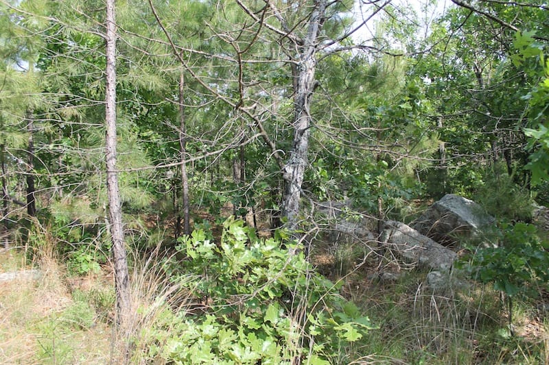 Indian Ridge – Phase II Tract 38 photo 9