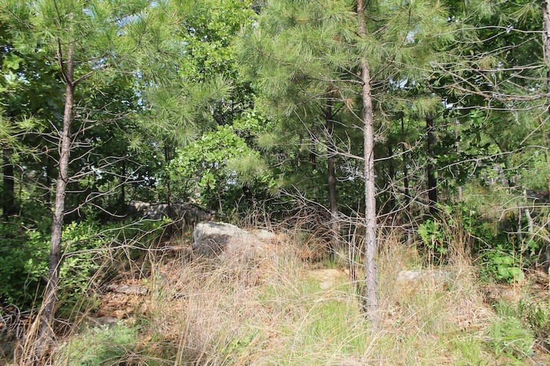 Indian Ridge – Phase II Tract 38 photo 10