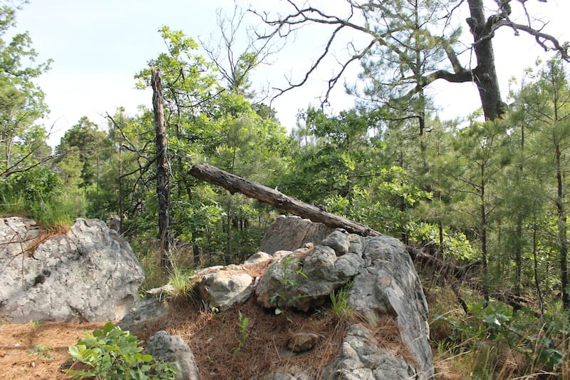 Indian Ridge – Phase II Tract 38 photo 12