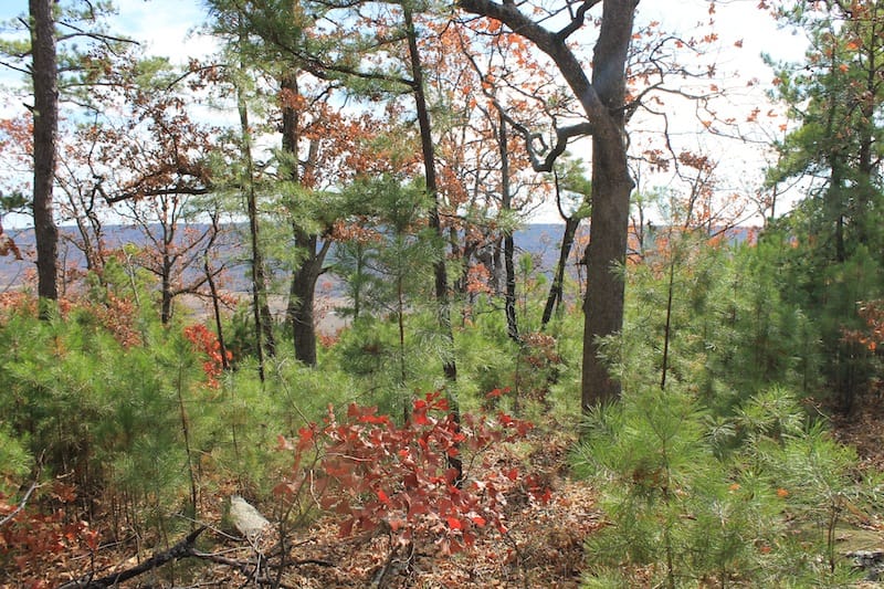 Indian Ridge – Phase I Tract 13 photo 4