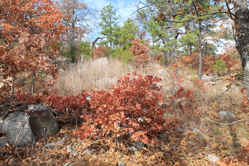 Indian Ridge – Phase I Tract 13 photo 5