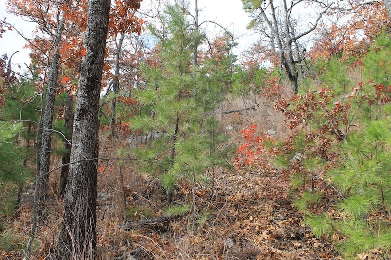 Indian Ridge – Phase I Tract 13 photo 7