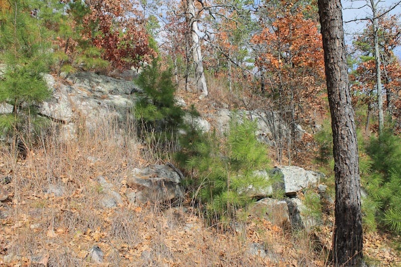 Indian Ridge – Phase I Tract 13 photo 8