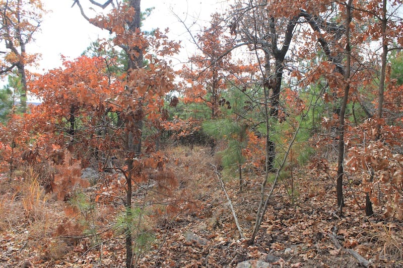Indian Ridge – Phase I Tract 13 photo 9