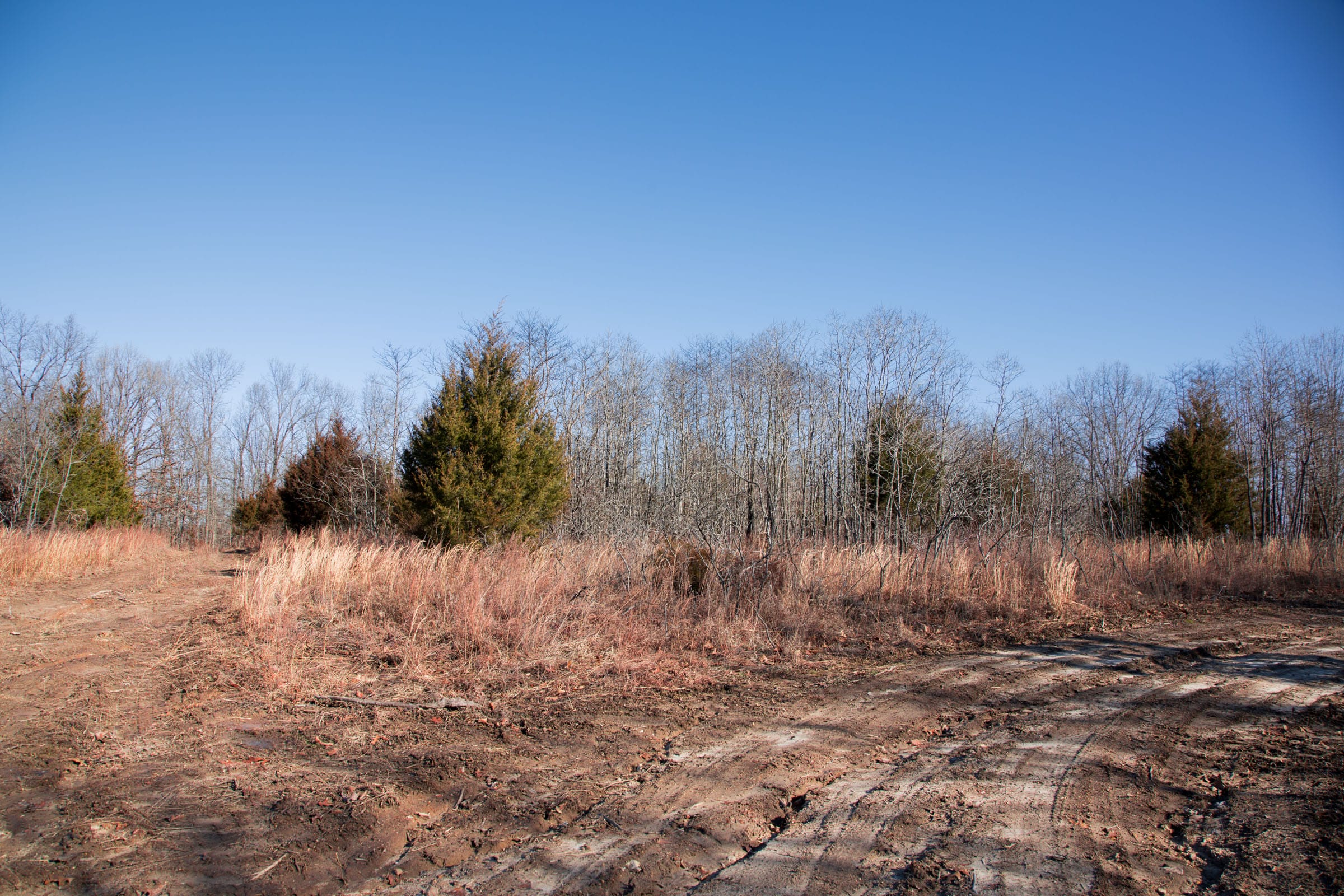 Buffalo Hills Tract 11 photo 4