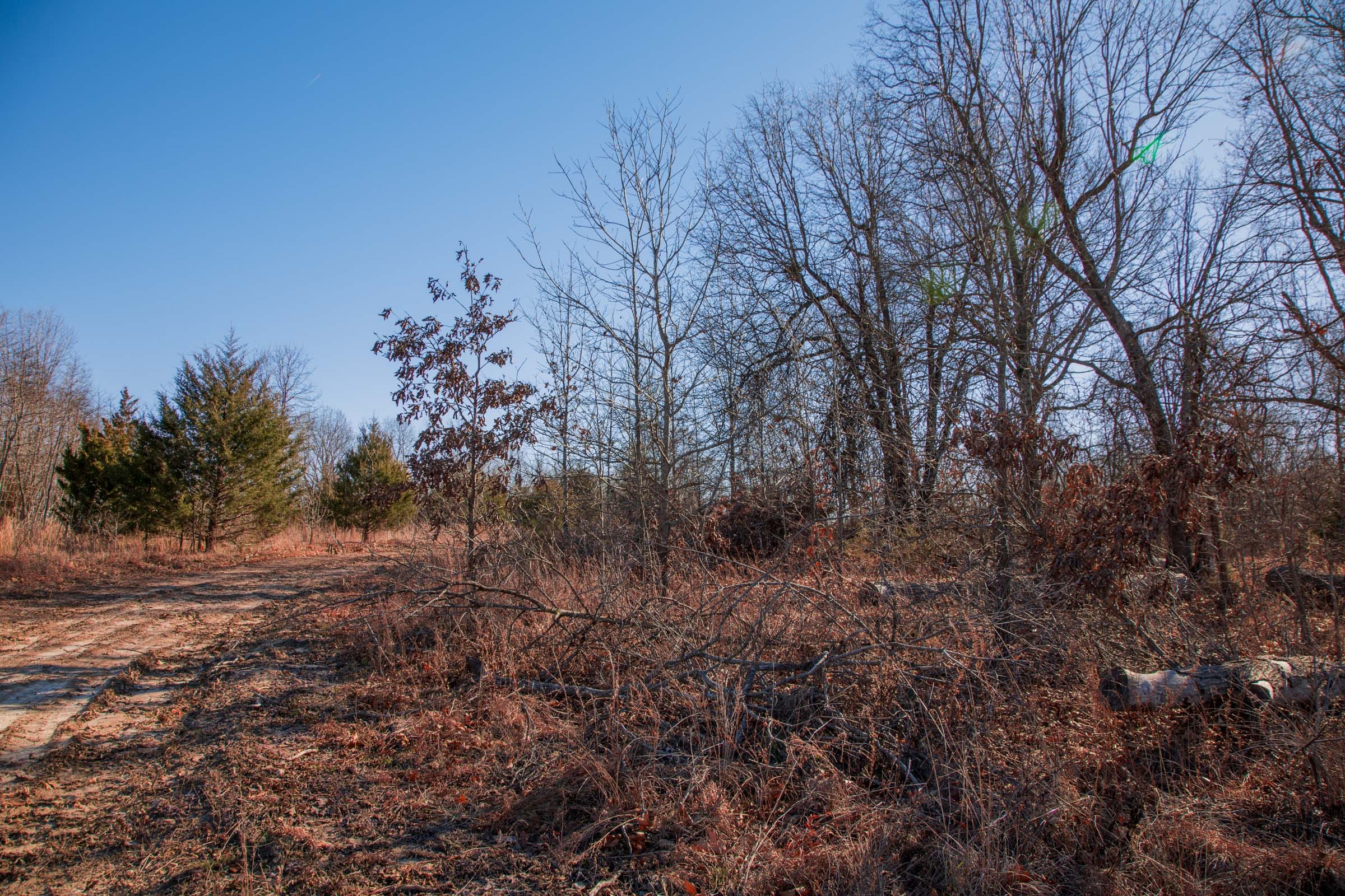 Buffalo Hills Tract 11 photo 5
