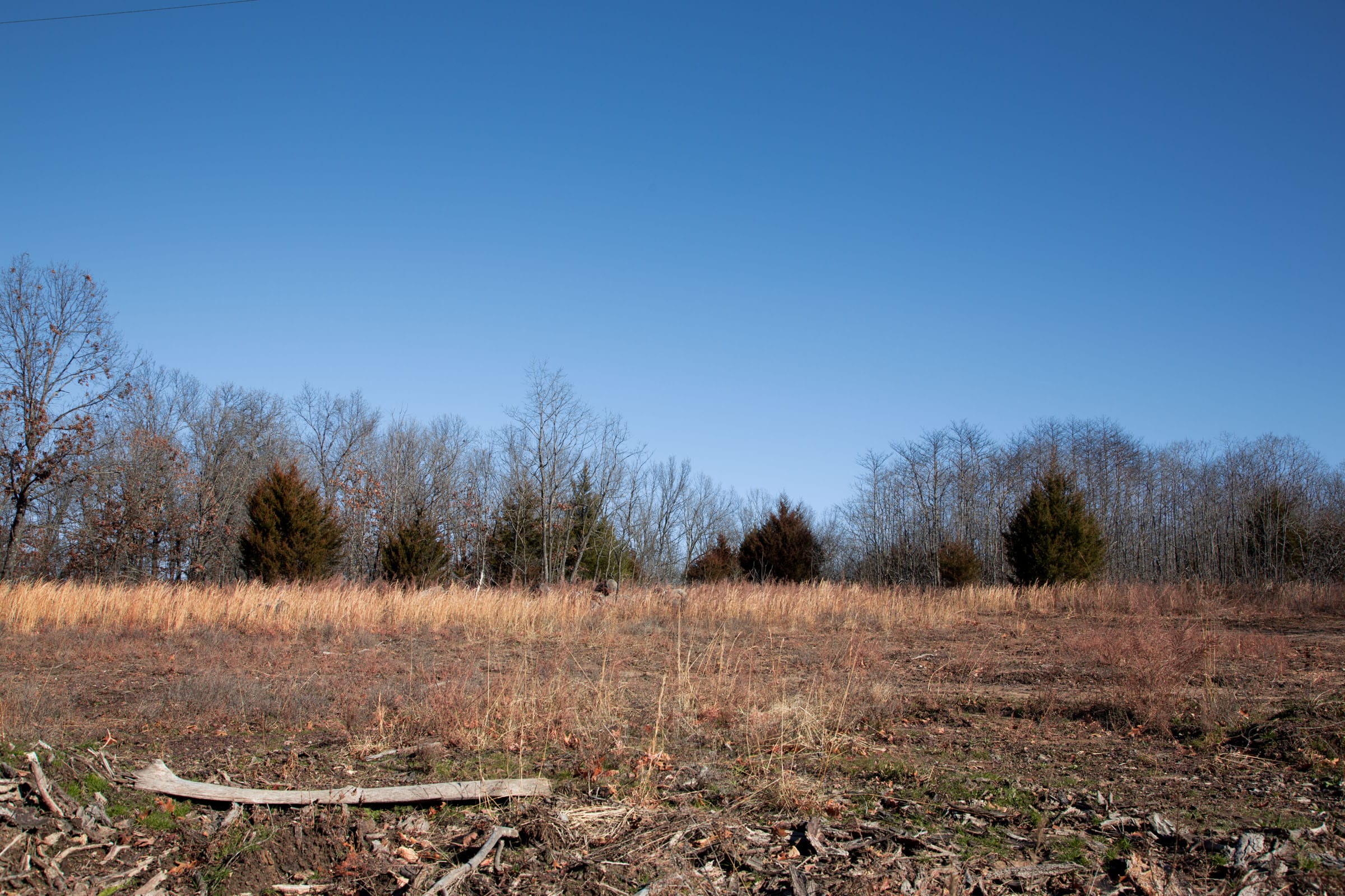 Buffalo Hills Tract 11 photo 10