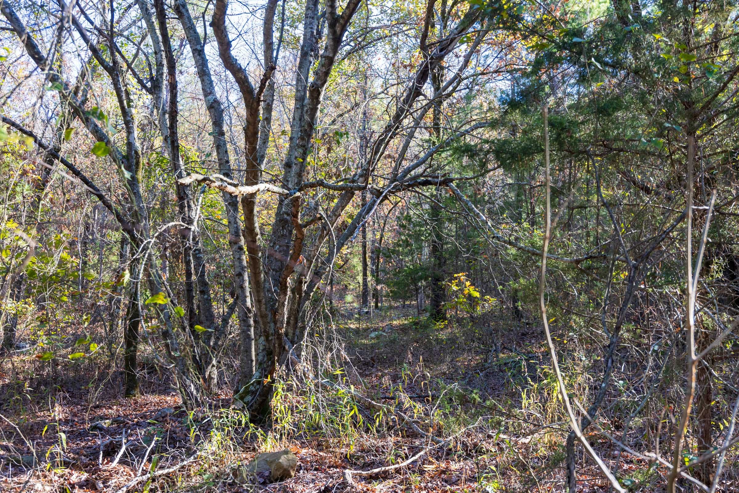 Stone Bridge Reserve Tract 28 photo 7