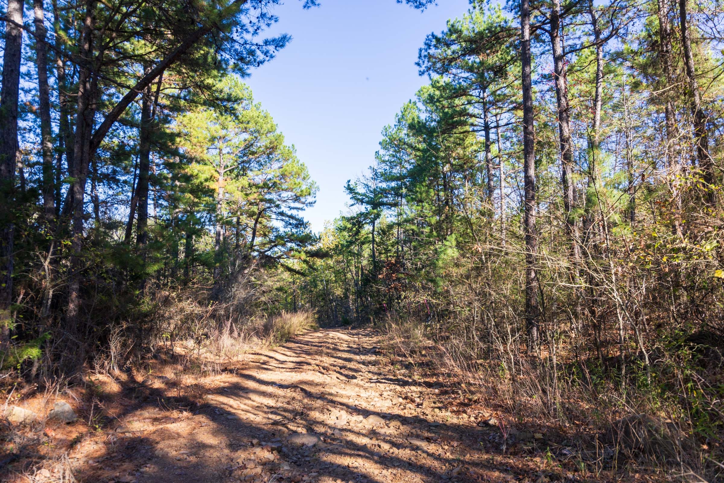 Stone Bridge Reserve Tract 28 photo 6