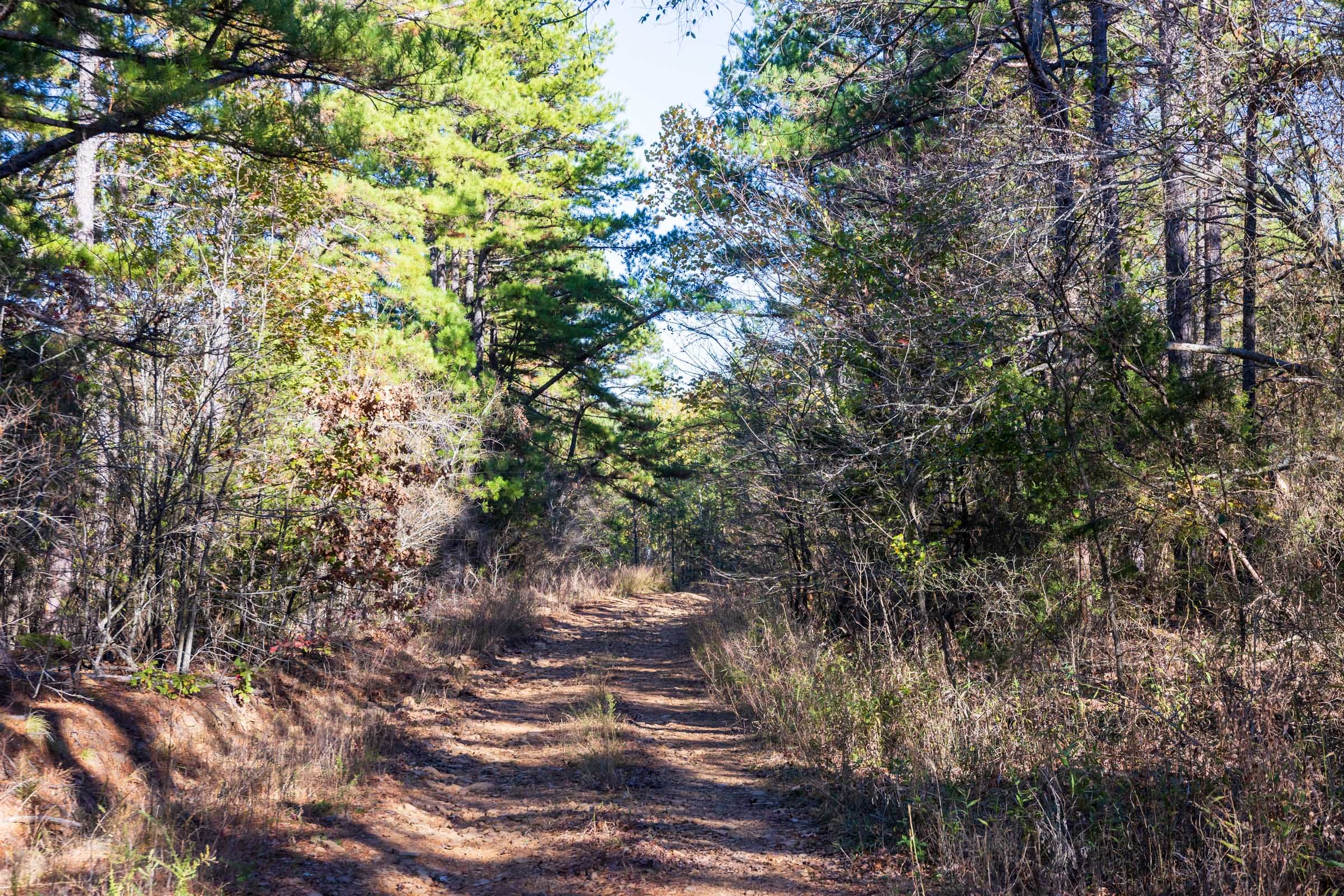 Stone Bridge Reserve Tract 28 photo 1