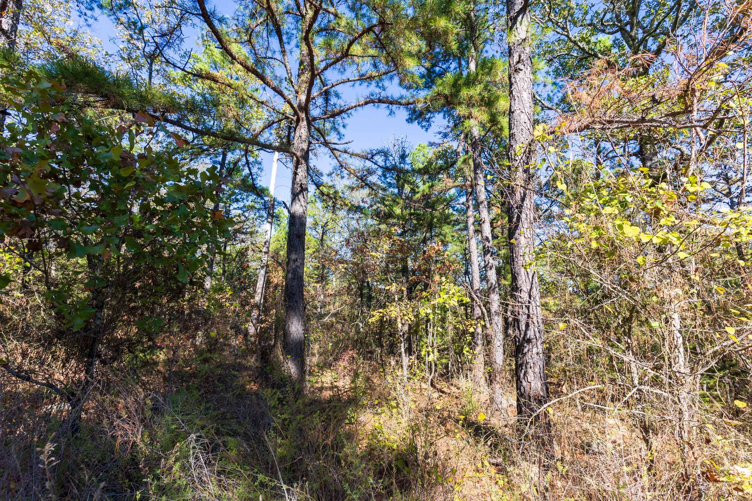 Stone Bridge Reserve Tract 28 photo 3