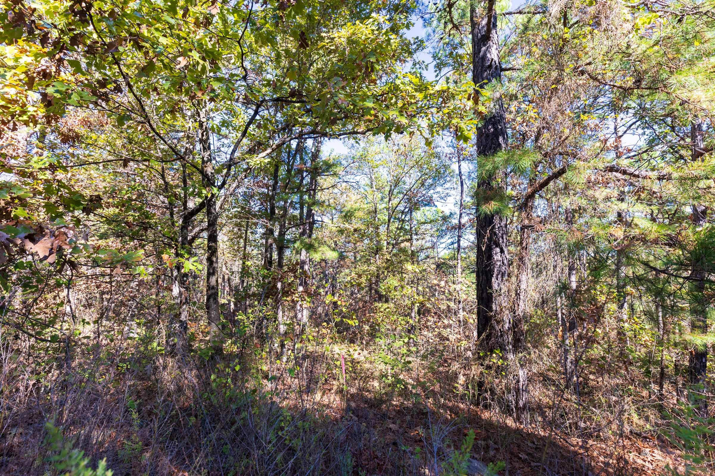 Stone Bridge Reserve Tract 28 photo 2