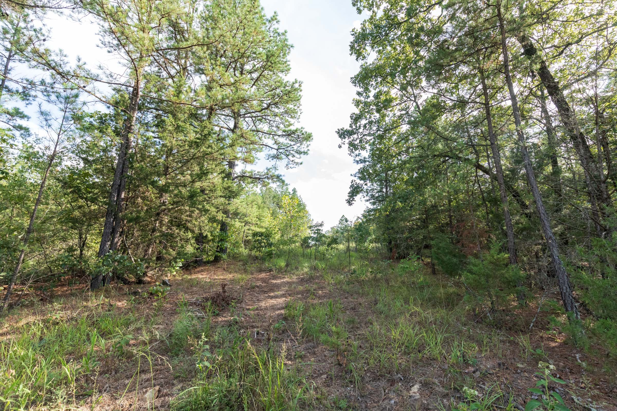 Stone Bridge Phase V Tract 402 photo 1