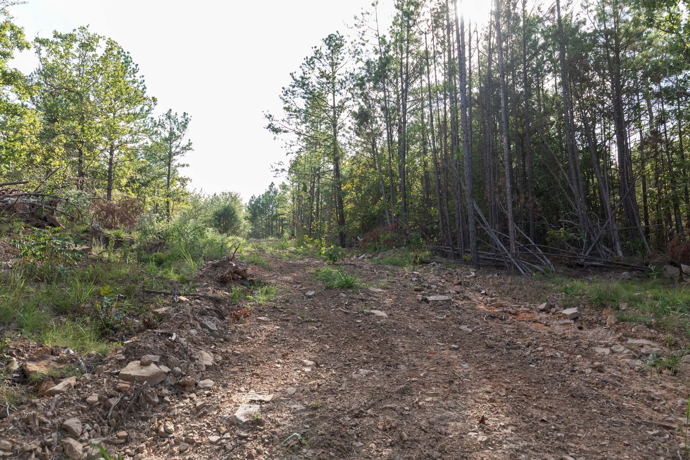 Stone Bridge Phase V Tract 402 photo 5