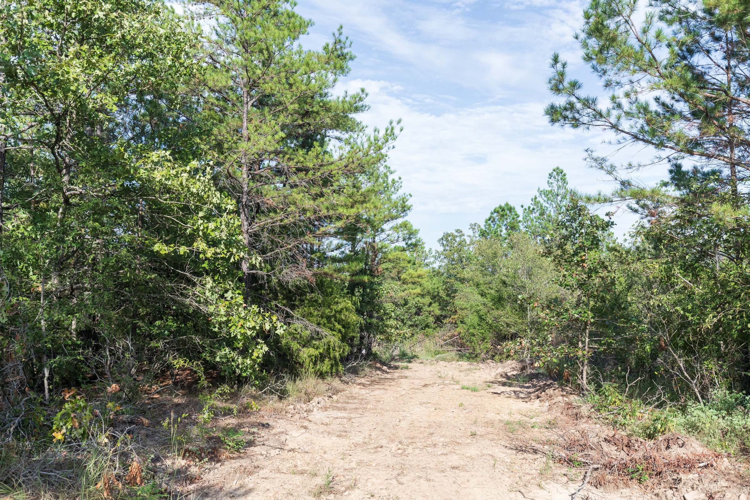 Stone Bridge Phase V Tract 402 photo 6