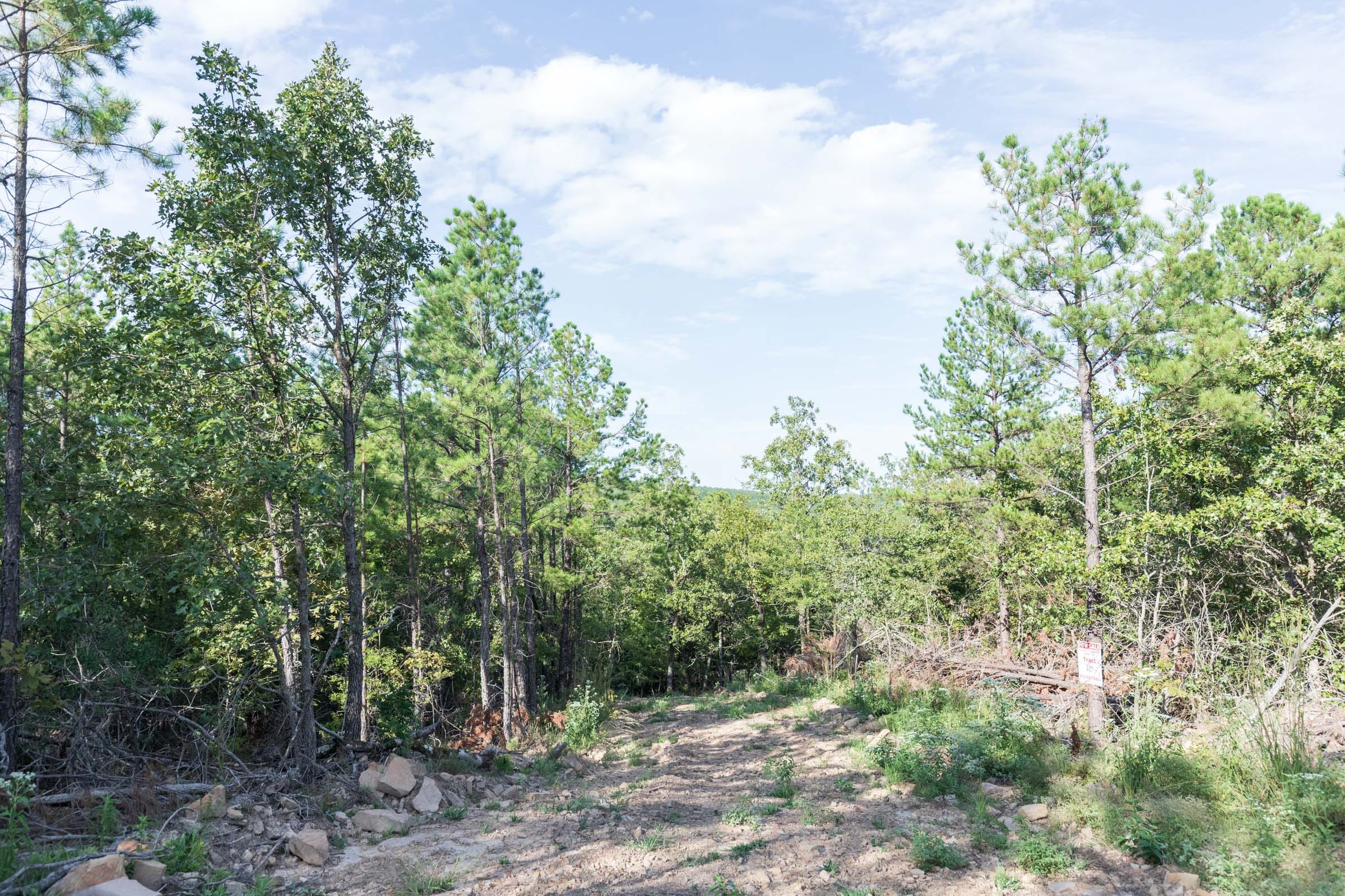 Stone Bridge Phase V Tract 402 photo 7