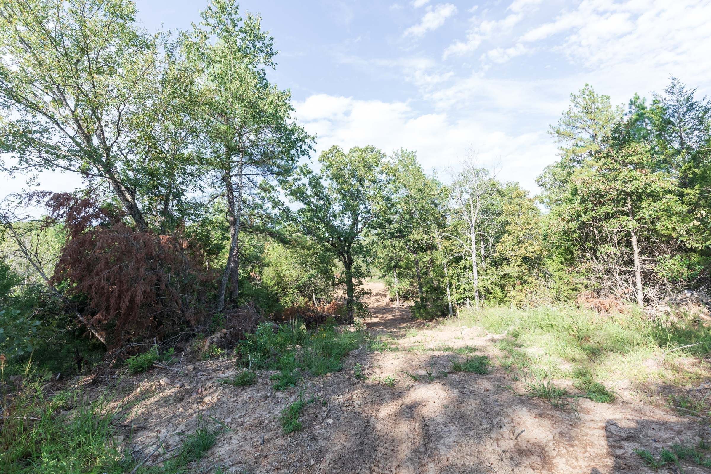 Stone Bridge Phase V Tract 402 photo 4