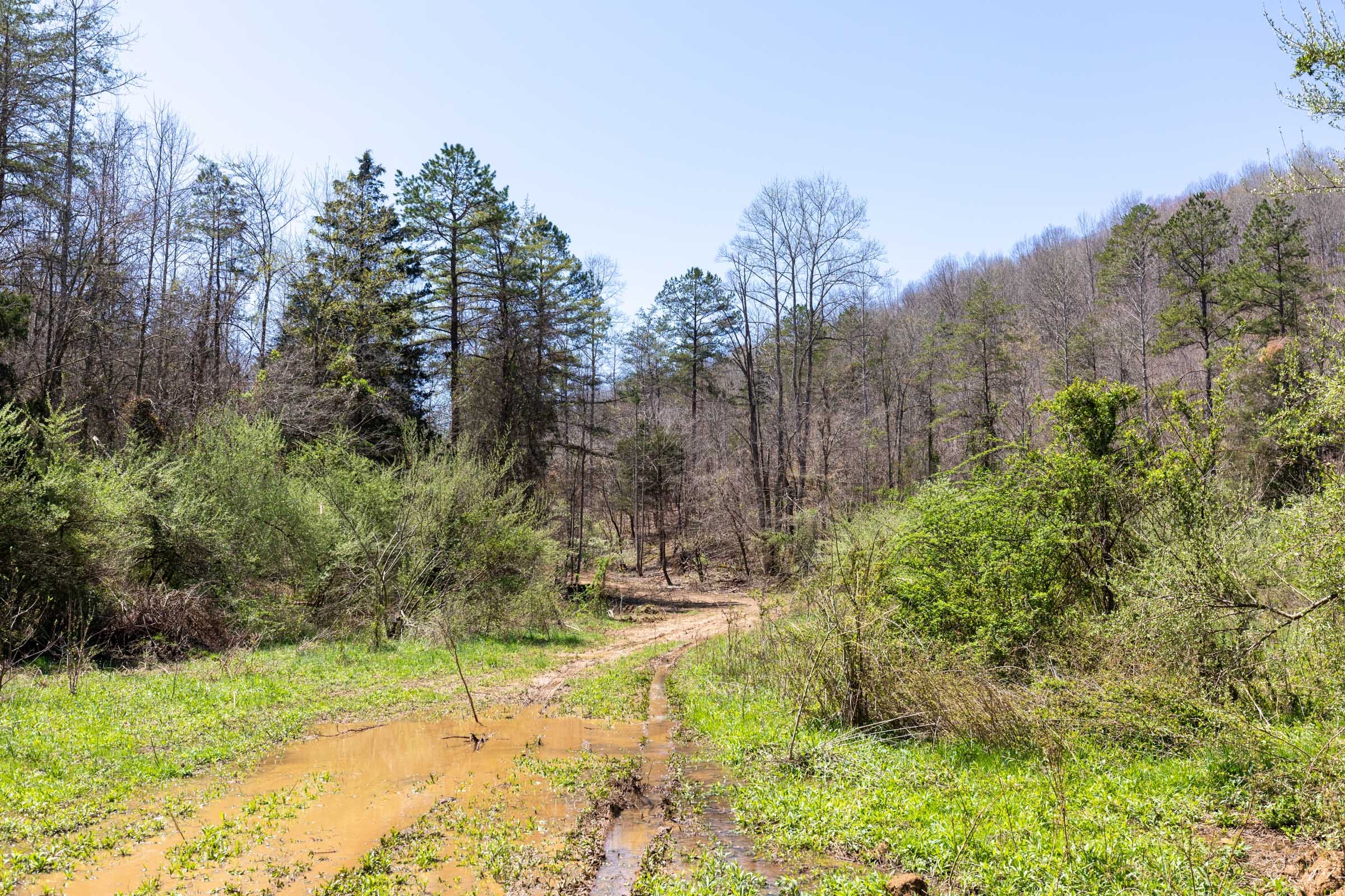 Woodland Heights Tract 12 photo 11