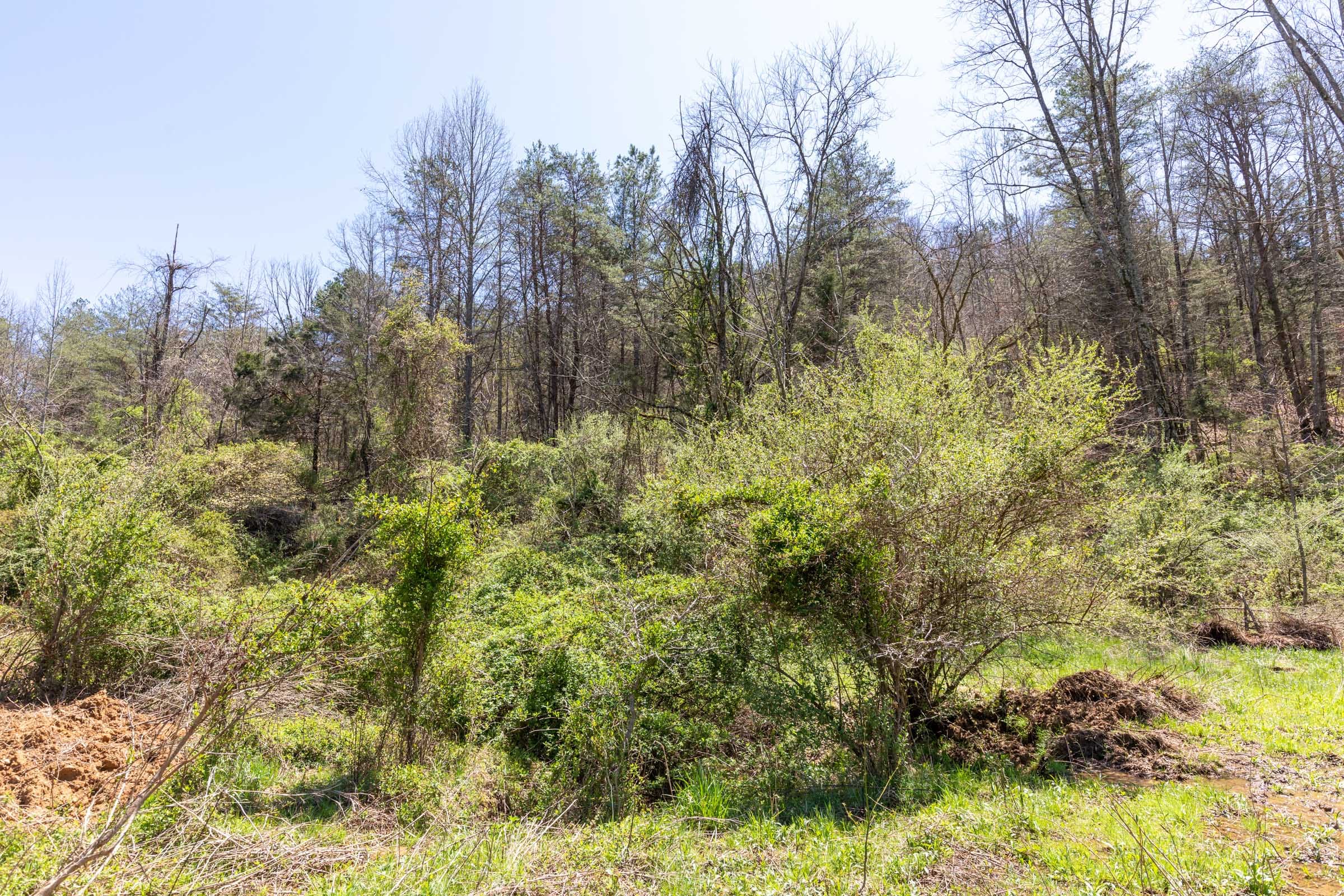Woodland Heights Tract 12 photo 2