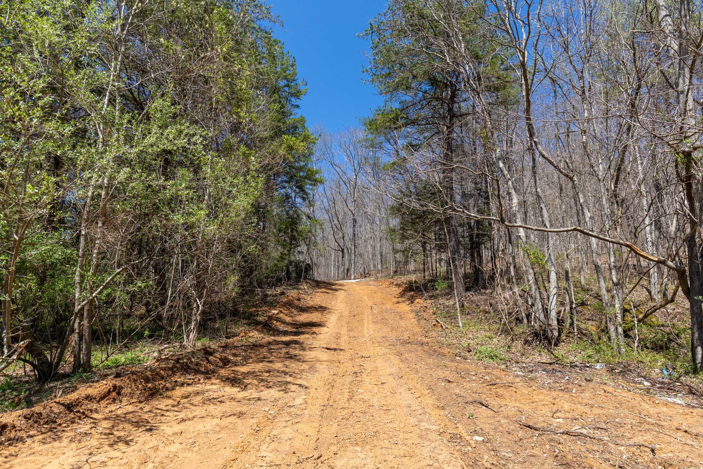 Woodland Heights Tract 12 photo 4