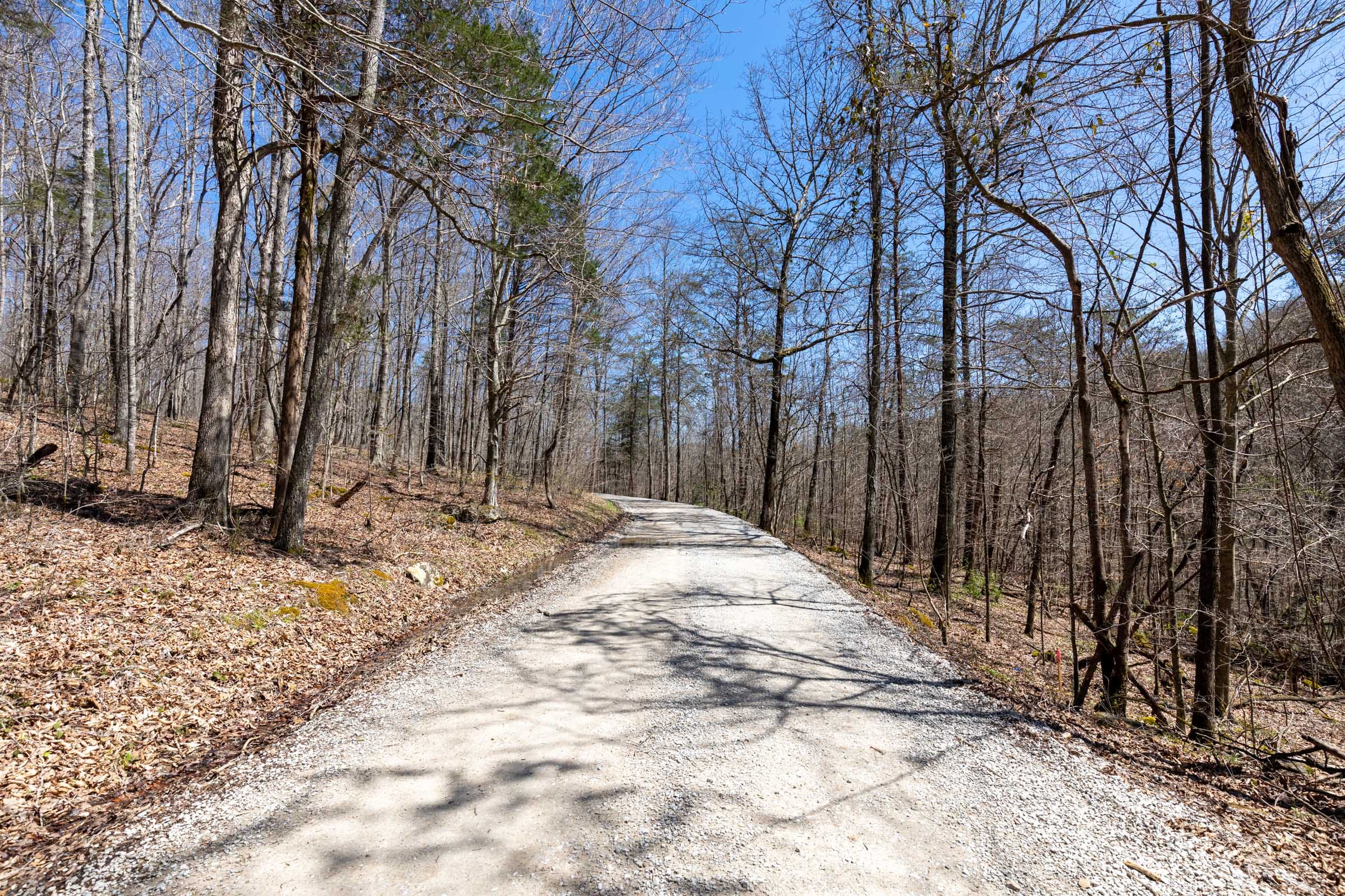 Woodland Heights Tract 12 photo 7
