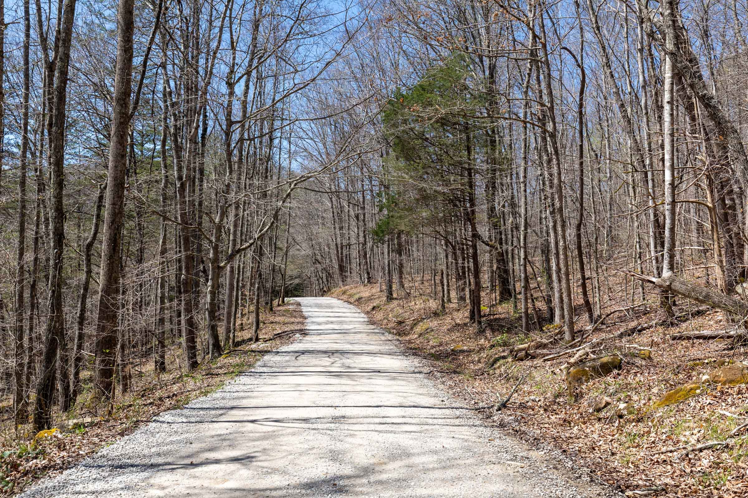 Woodland Heights Tract 12 photo 1