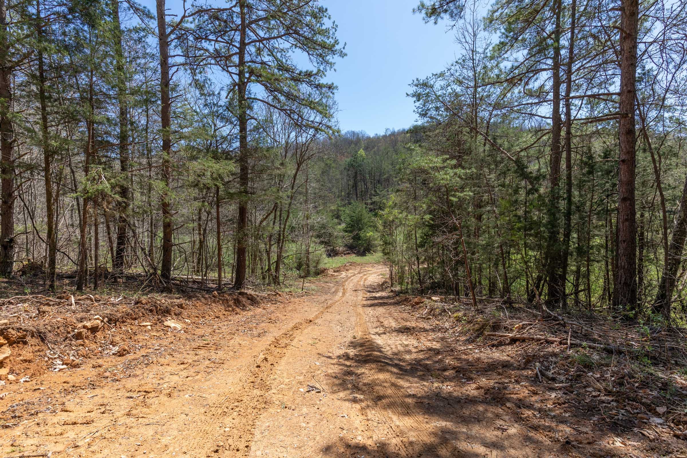 Woodland Heights Tract 12 photo 10